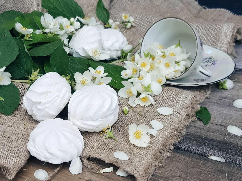 Бековский зефир